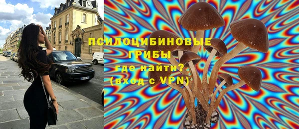 амф Армянск