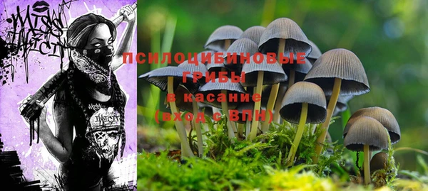 2c-b Алексин
